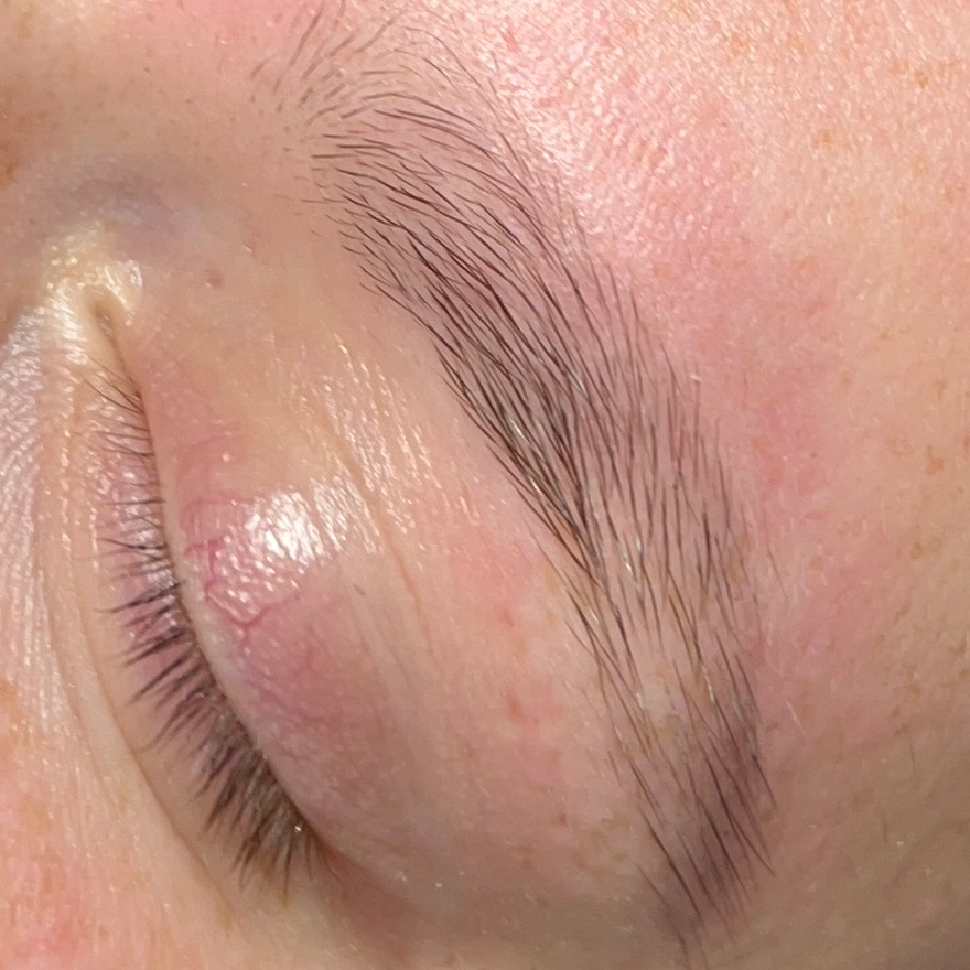 Brow Styling