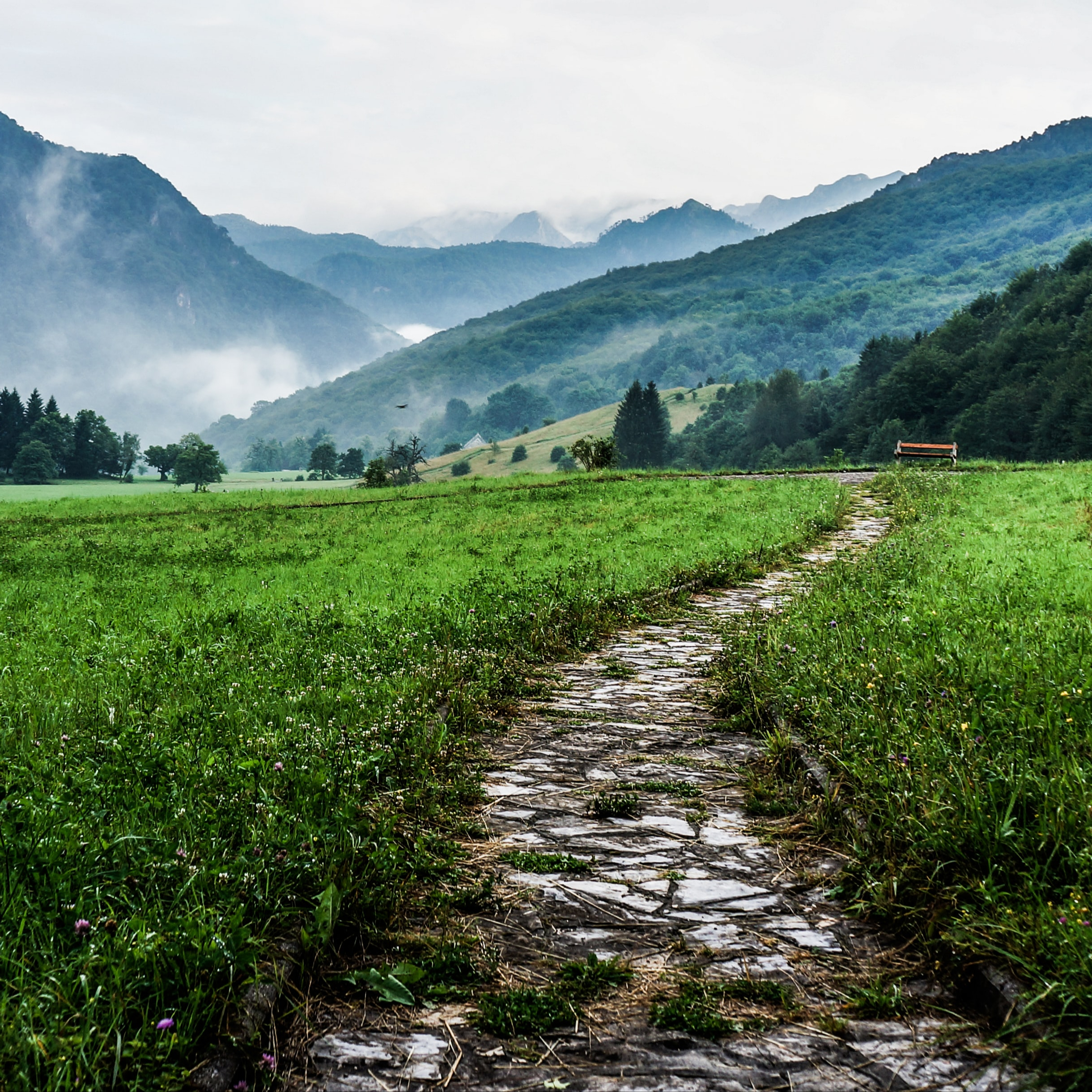 Premier rendez-vous (reconversion professionnelle) adulte