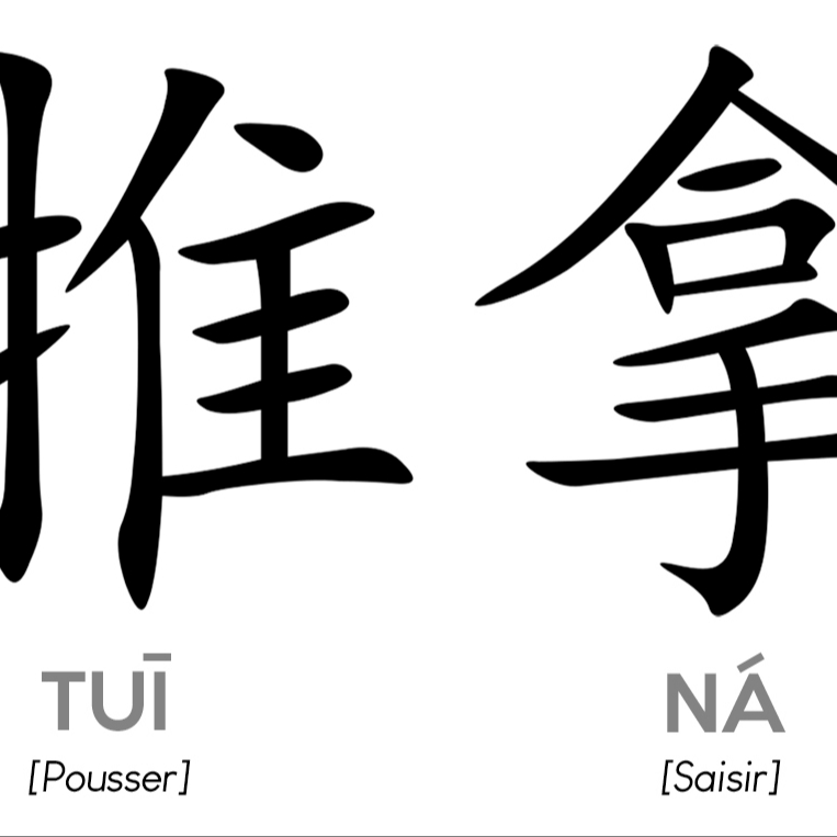 TuiNa massage chinois 1h30