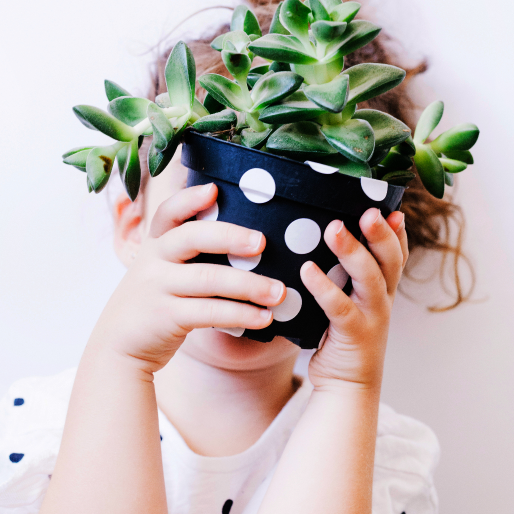 Séance de kinésiologie Petite enfance (2-5 ans)