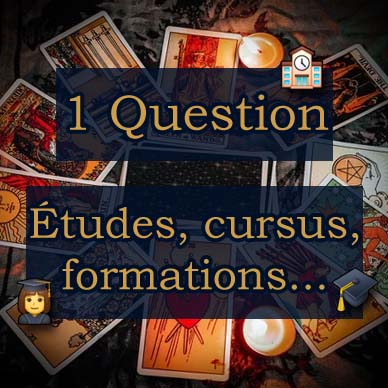 Tirage 1 Question : Études, cursus, formations...