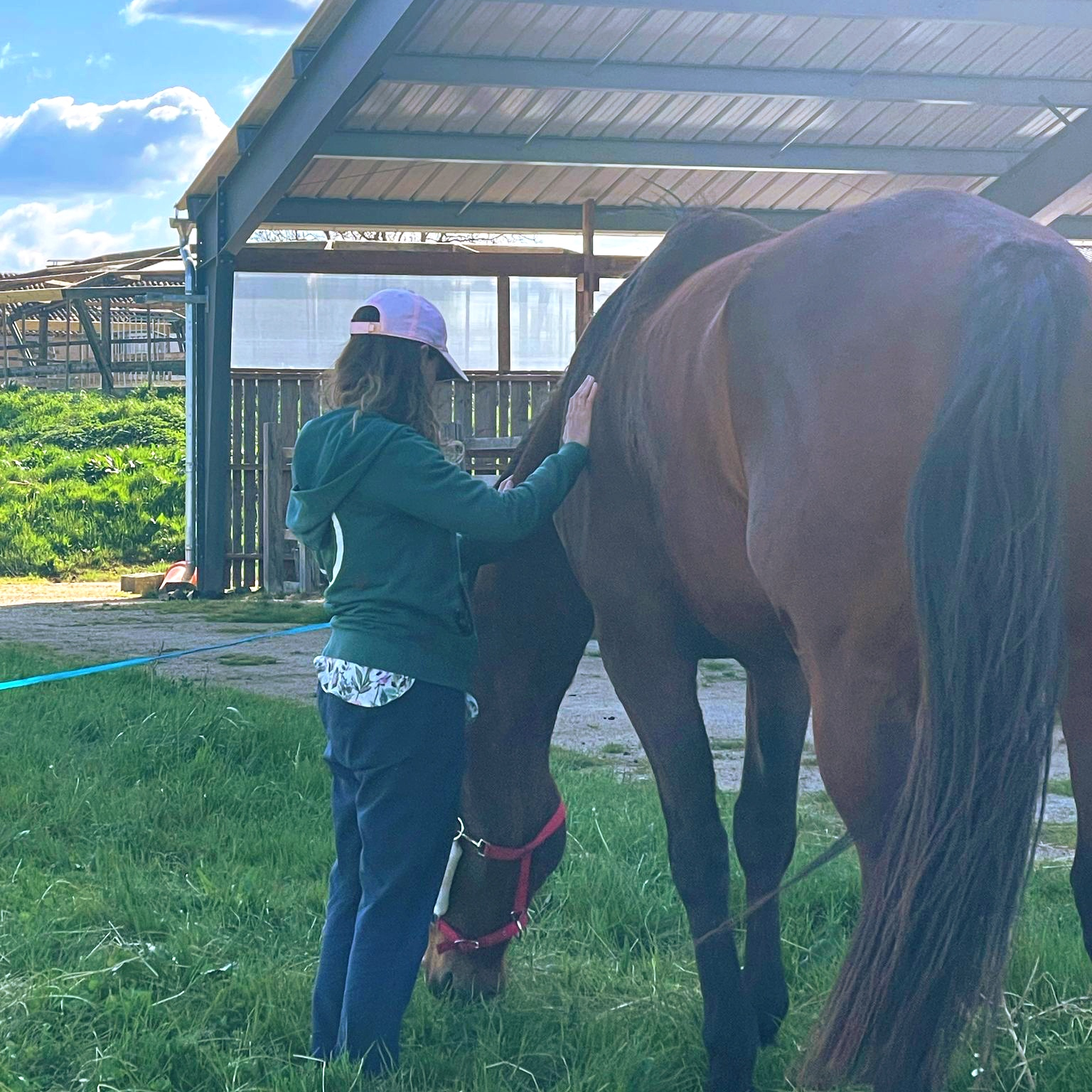 Séance de constellation avec les chevaux