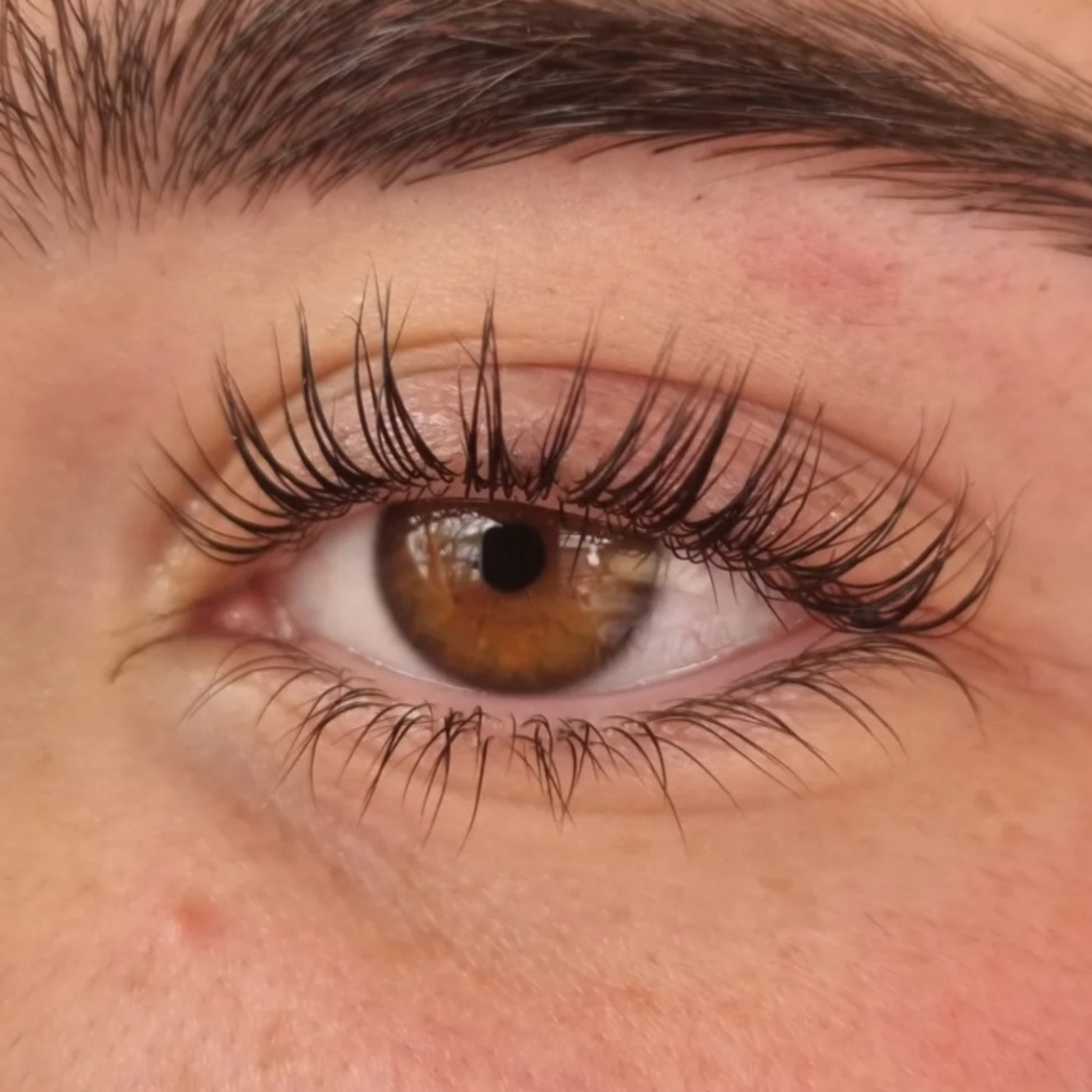 Teinture cils
