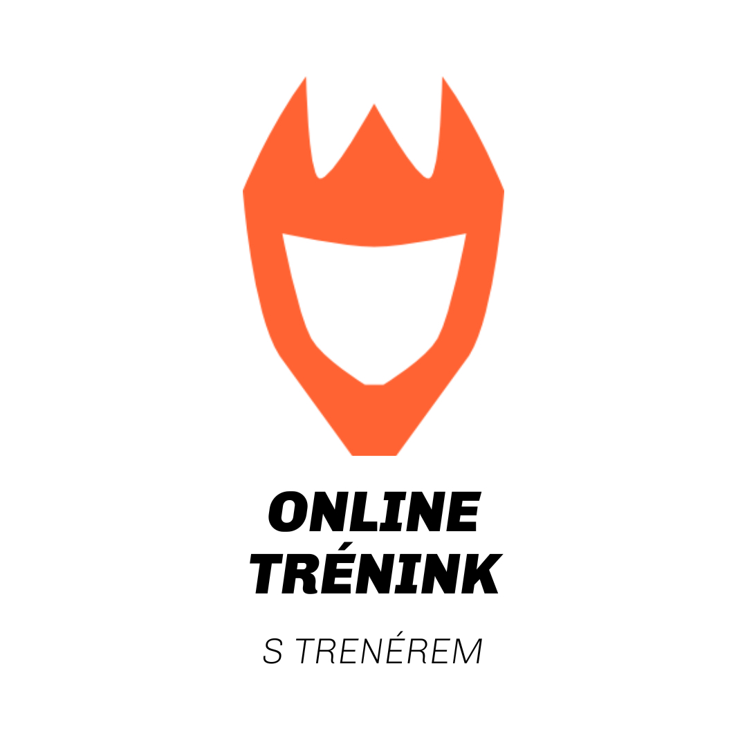 Online trénink (s trenérem)