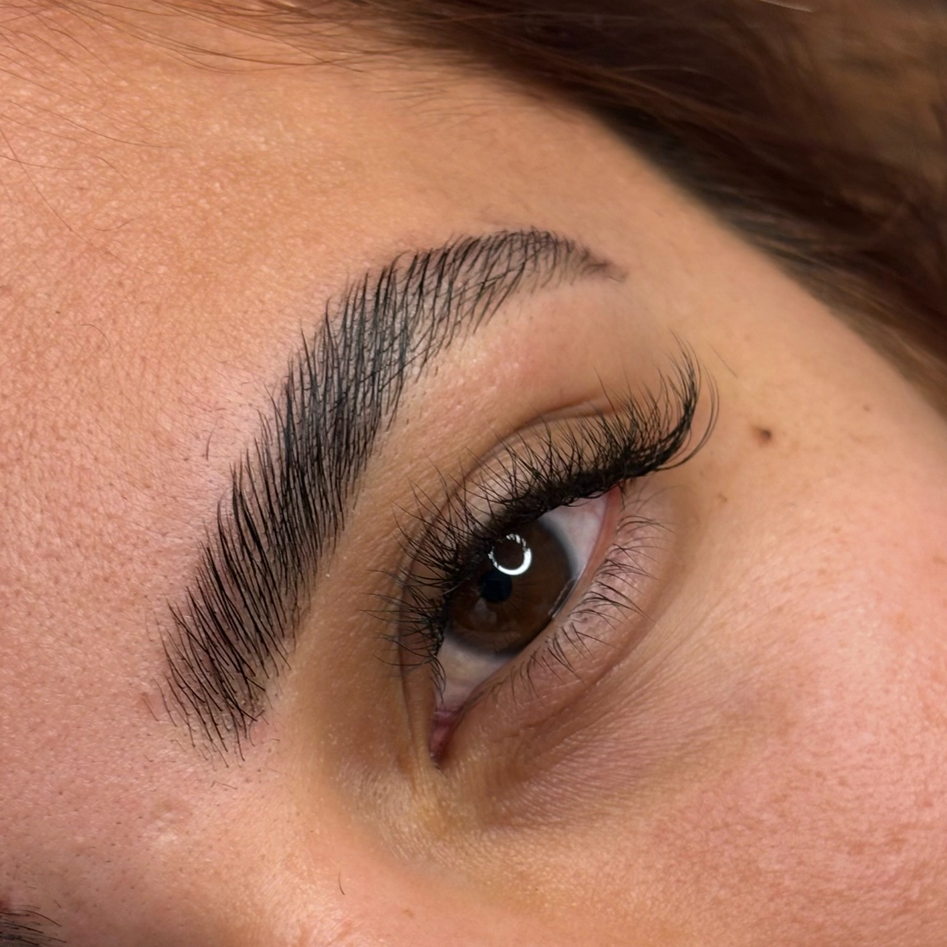 Brow Lamination + Teinture