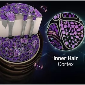 Ricostruzione Fiber Force