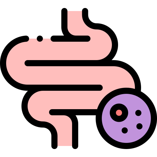 TEST microbiota intestinale (Biomaplan)