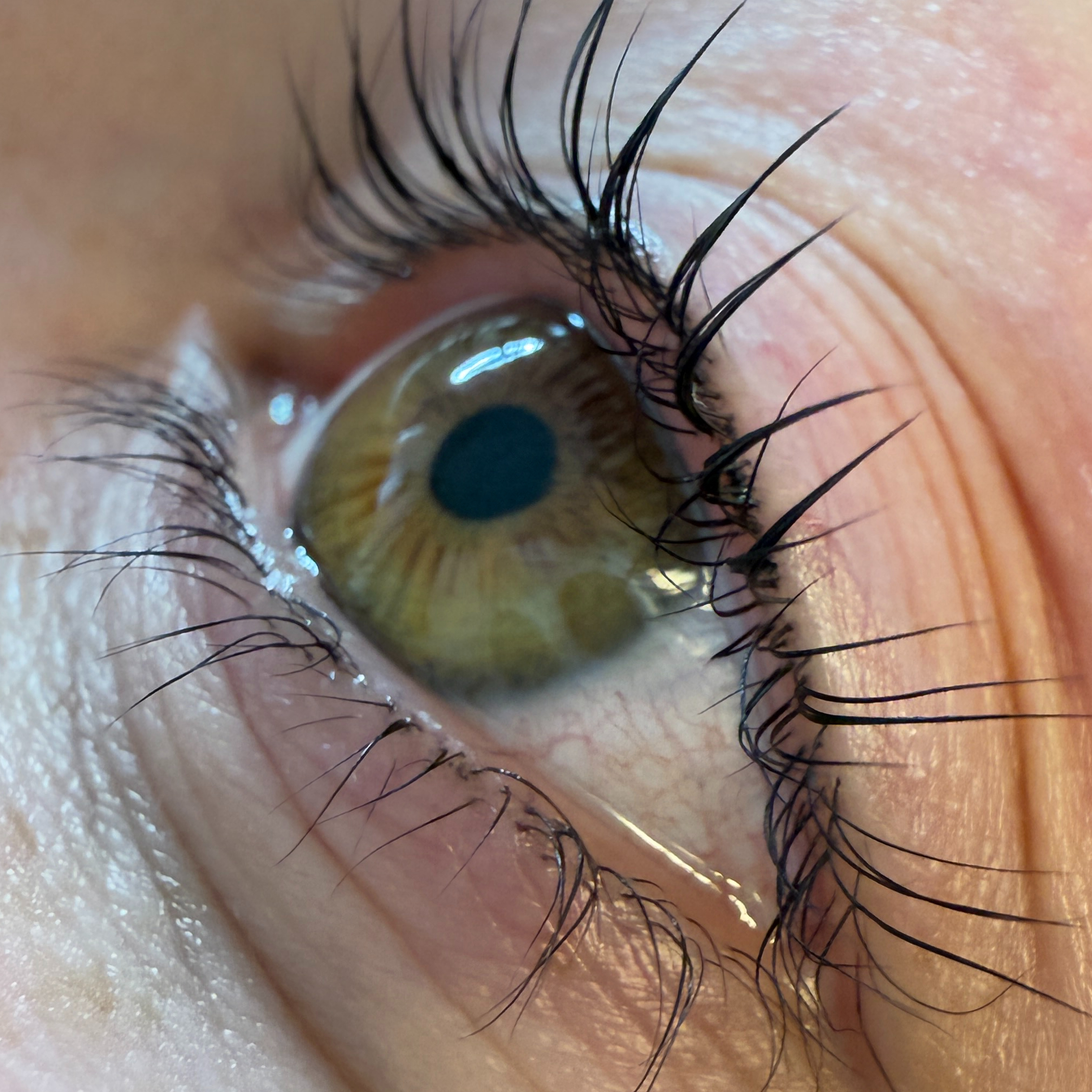 Lash Lifting & Botox