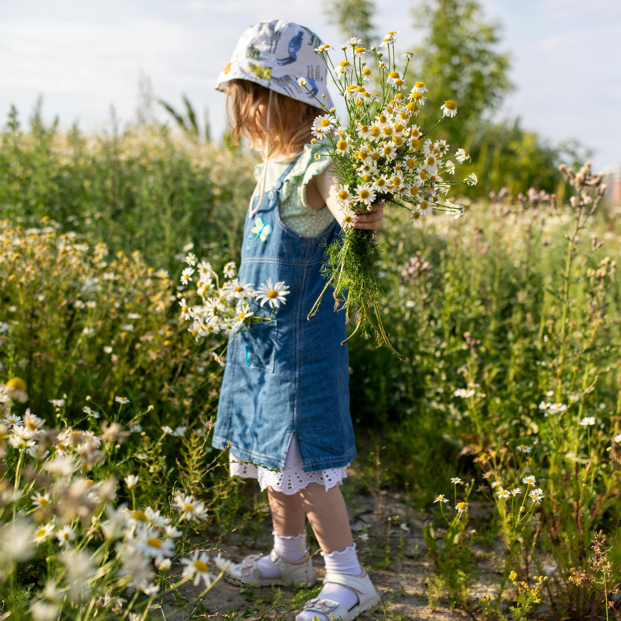 Séance Magnétisme Enfant 30 Min