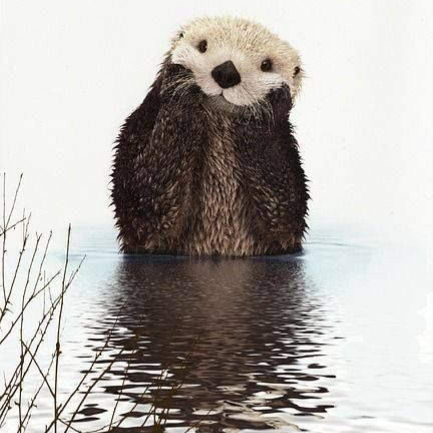 Accompagnement émotionnel - consultation ENFANT-ADO