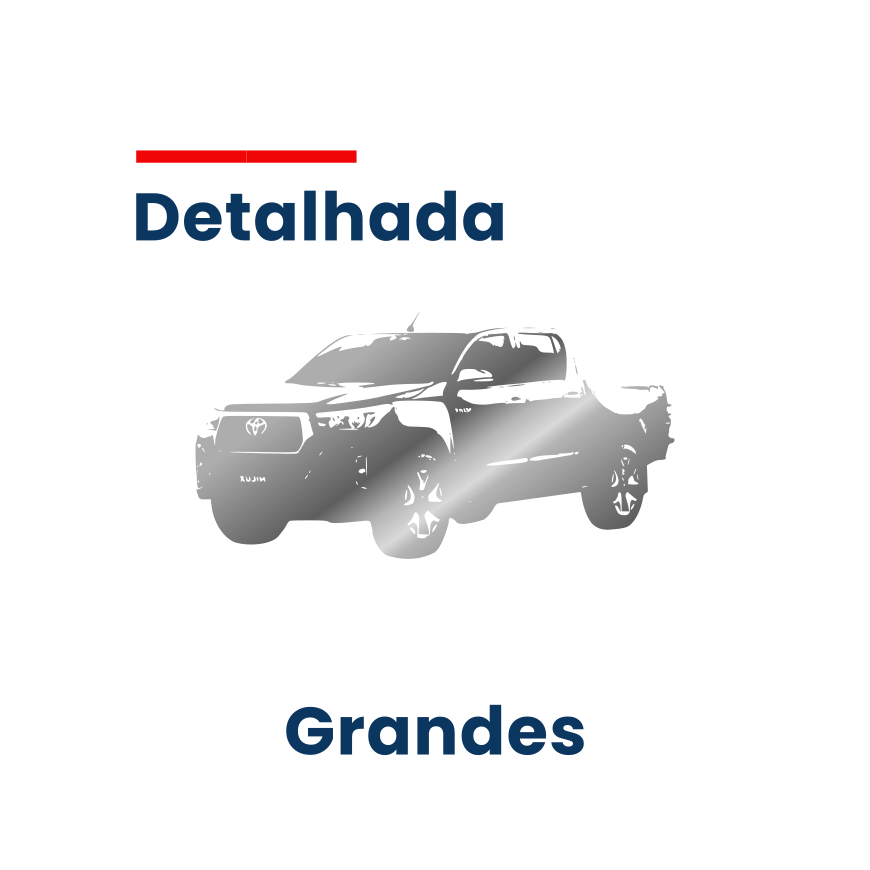 Lavagem Detalhada - Grandes