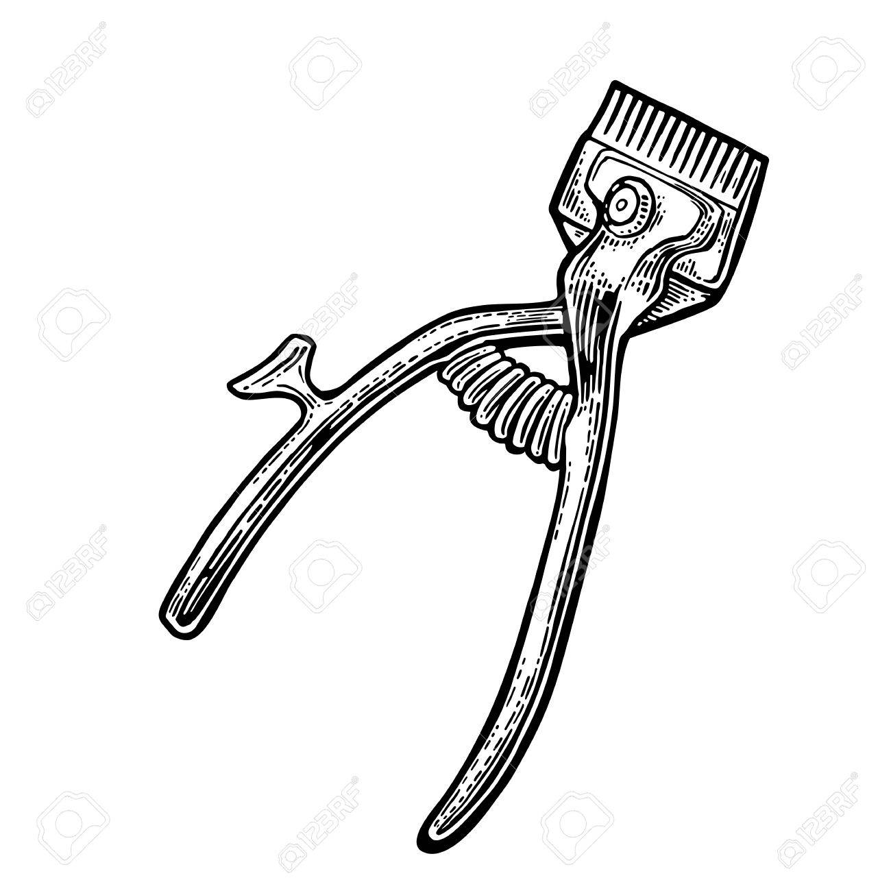 Corte de cabello y Cejas