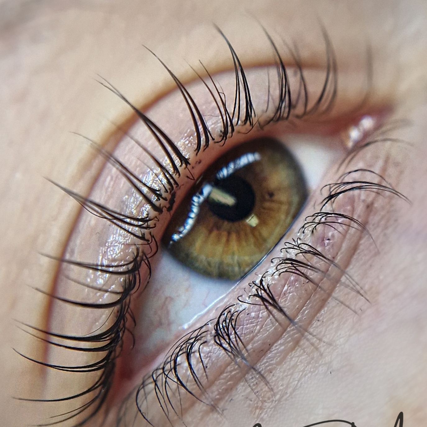 Lash lifting + lash botox