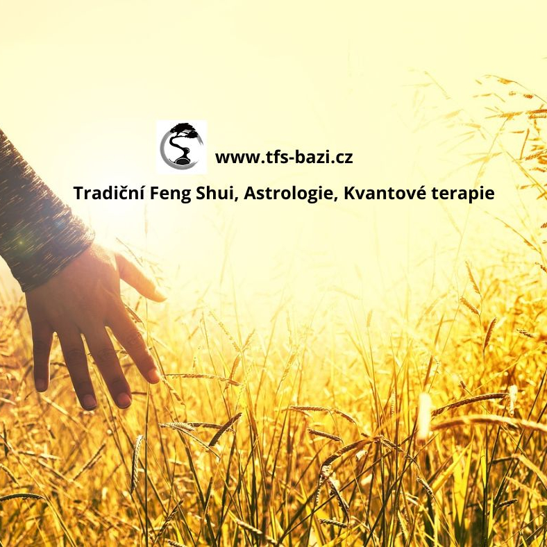 Terapie online - kvantové opravy (2 hod)