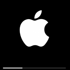 Réparation iPhone