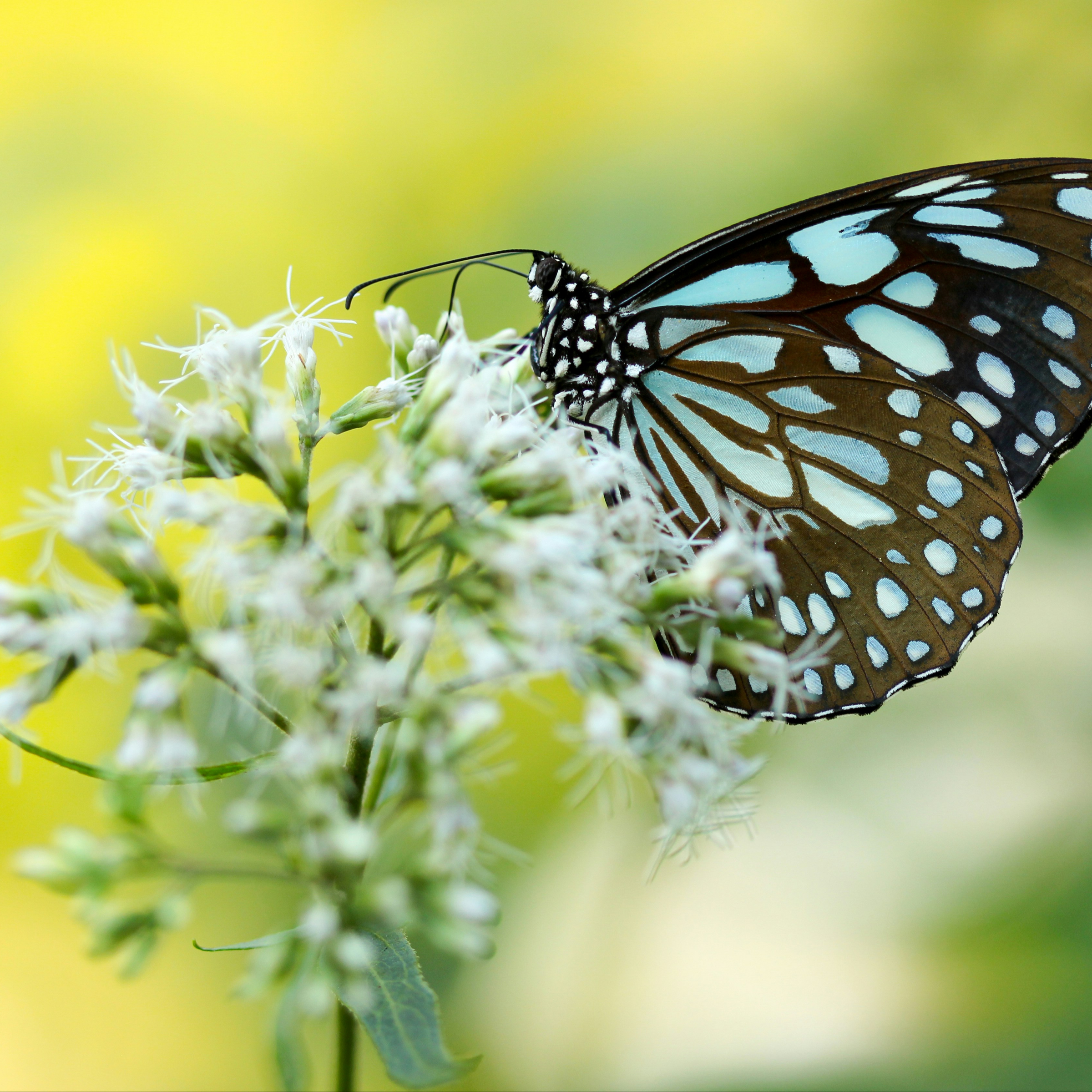 Workshopsessie Reset TRE®