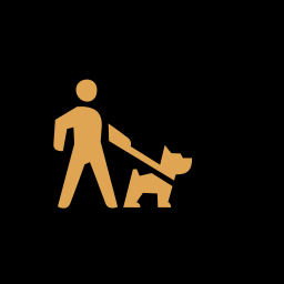 Dog Walking