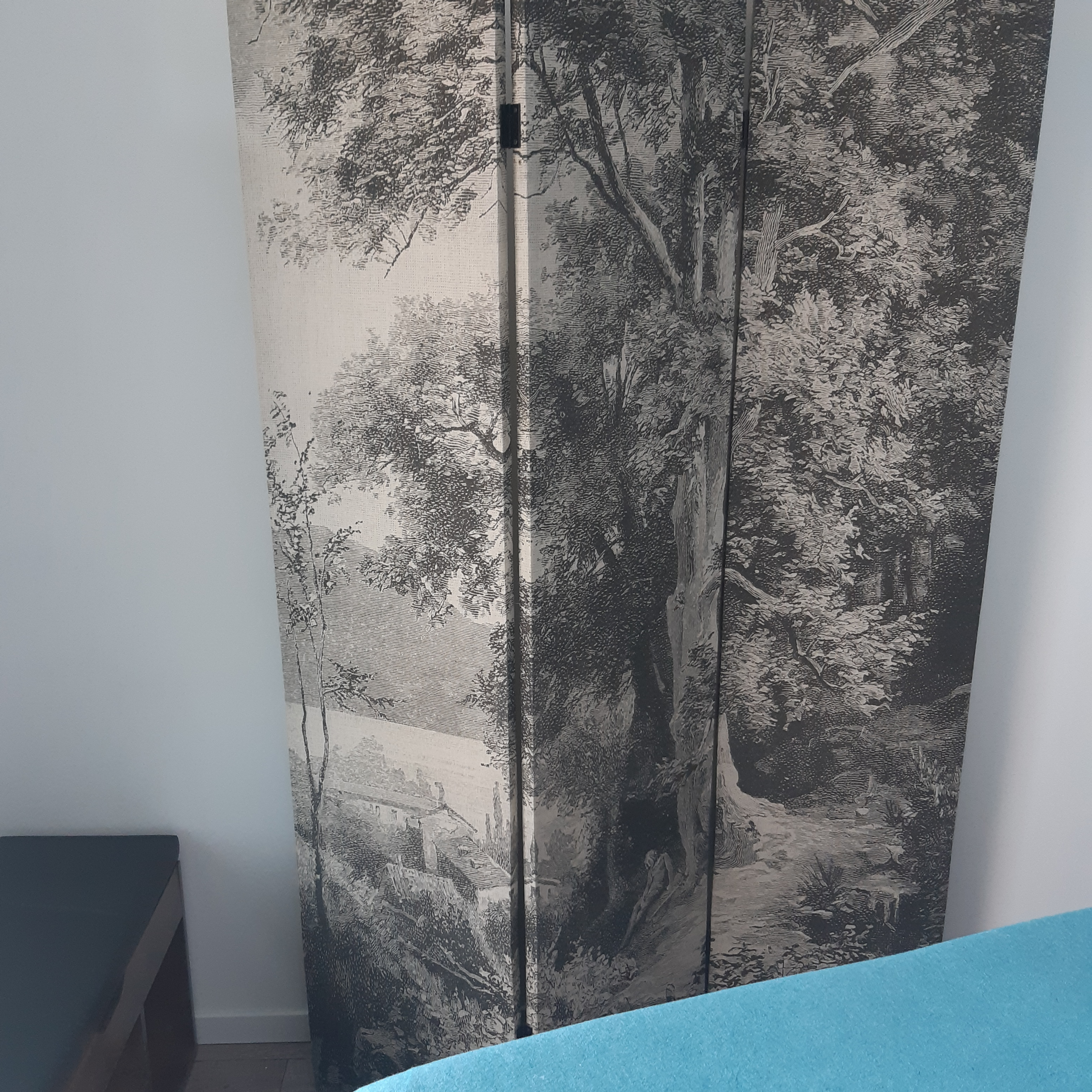 Massage (Durée 30 min)