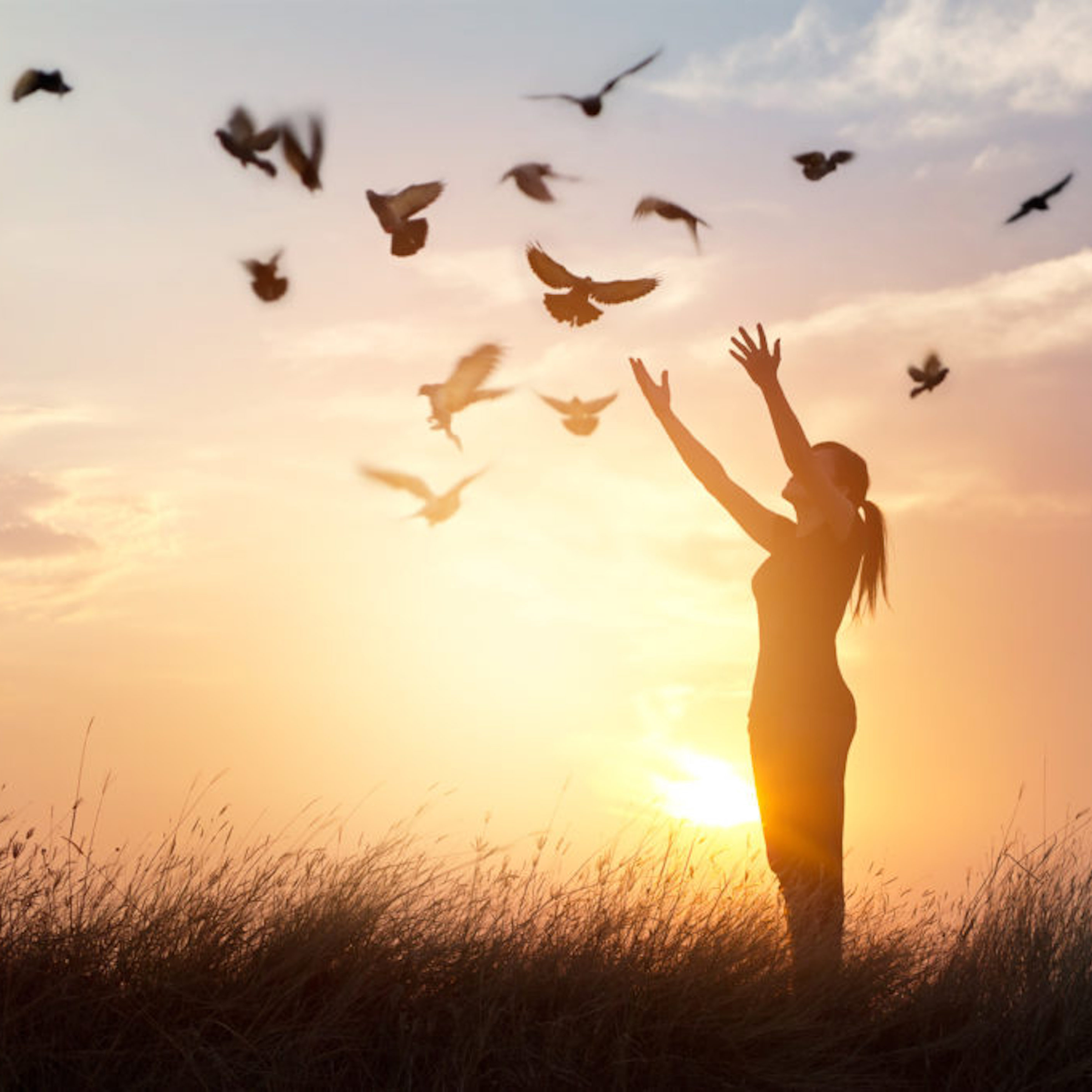 Accompagnement 12H Le Soin du Vivant® (4 à 6 mois)