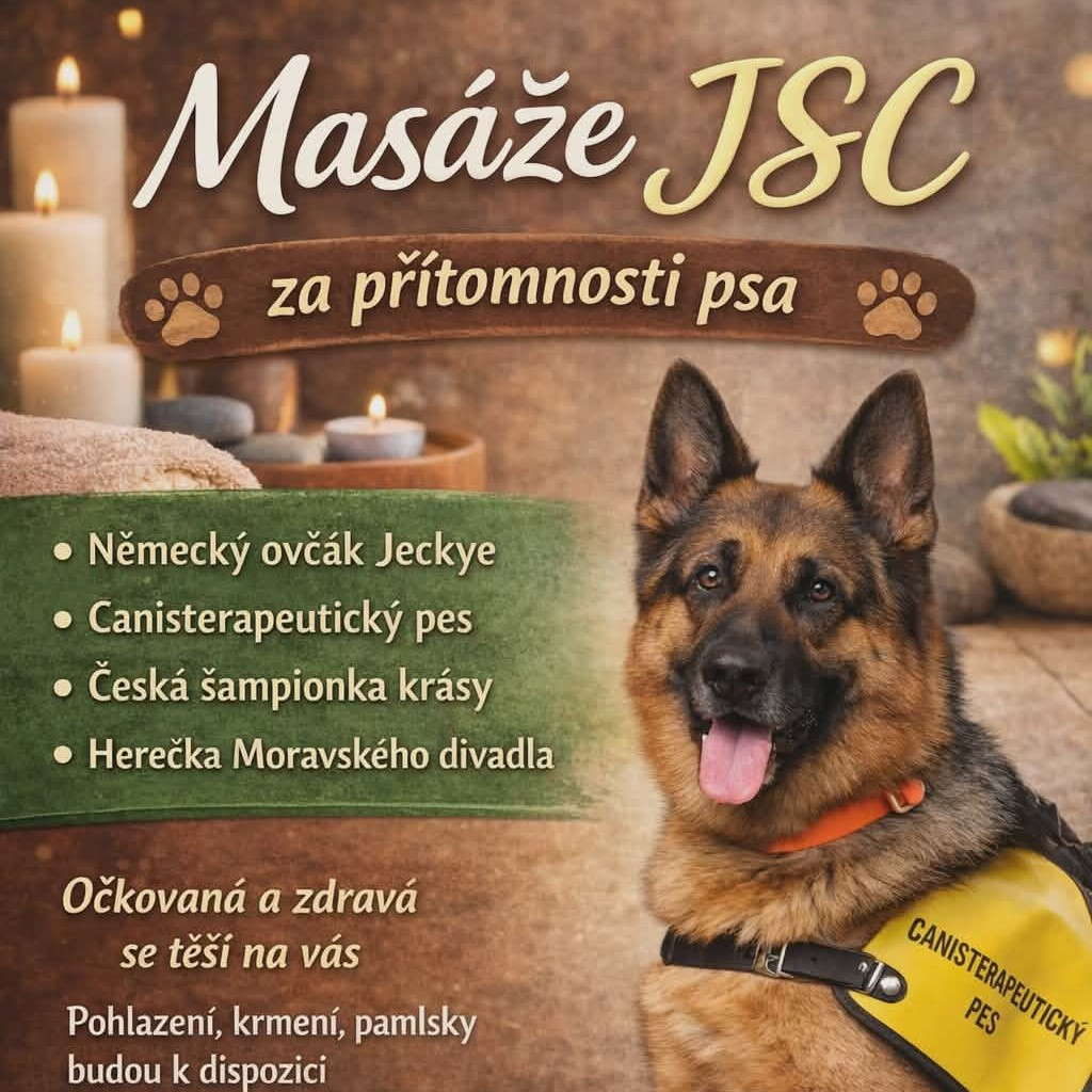 Masáž za přítomnosti psa 90 minut