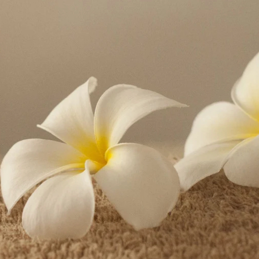 Massage hawaïen