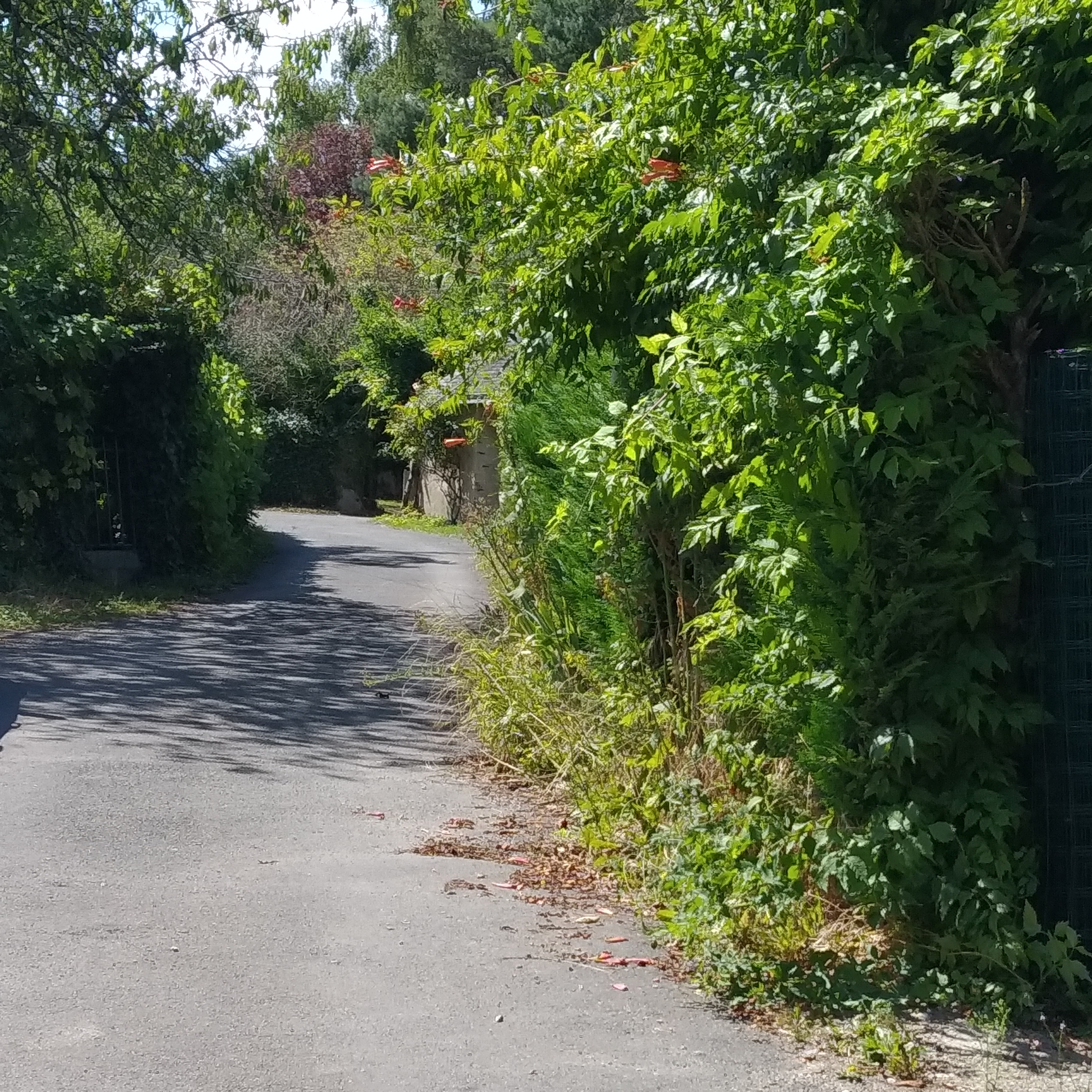 Mes escapades Sophro