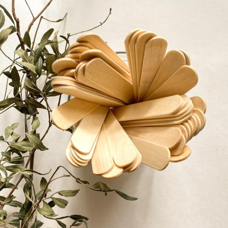 Forfait demi-jambes + maillot intégral + aisselles