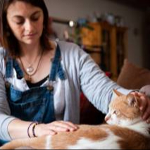 Séance de kinésiologie animale
