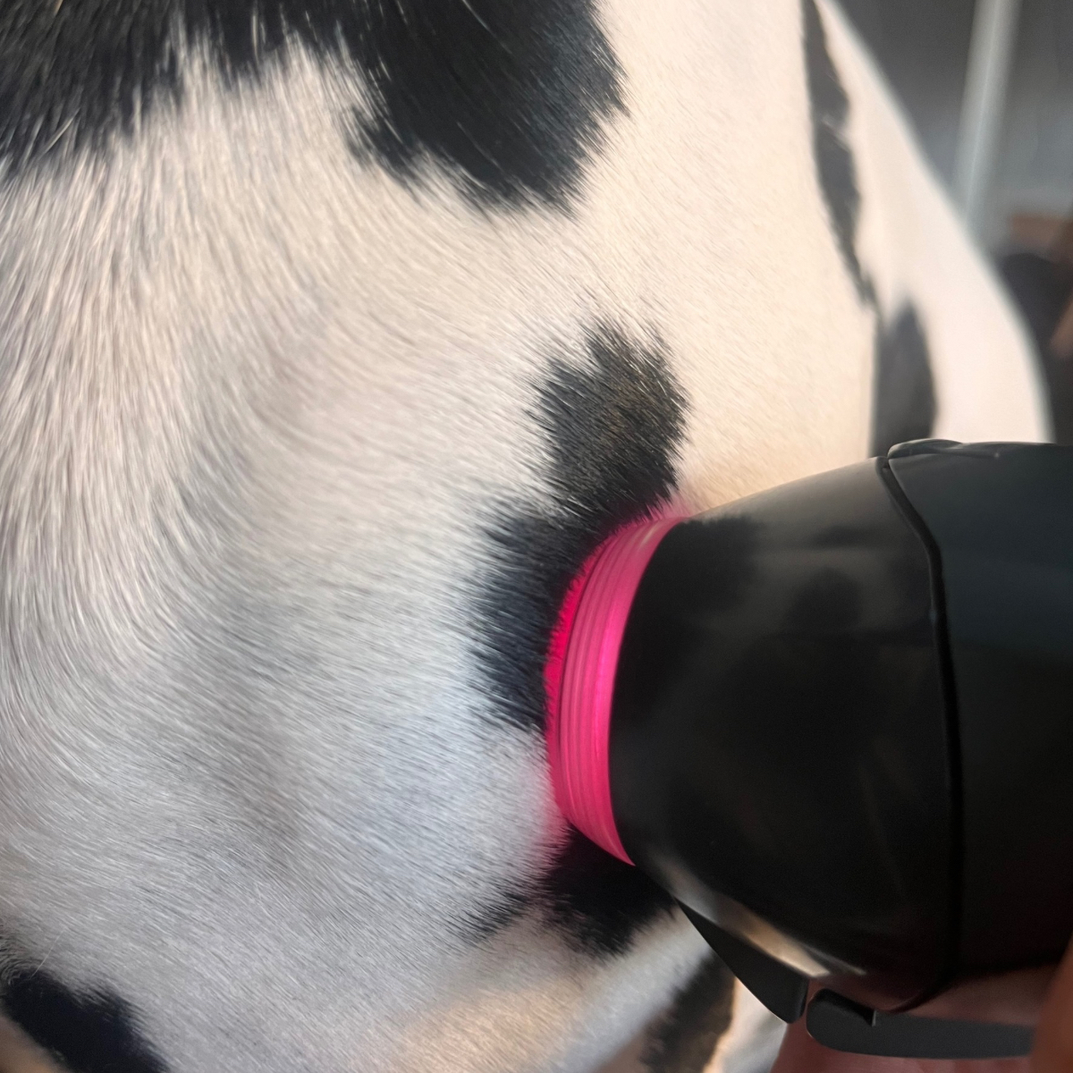 Aplikace MLS® laseru dlouhá (nad 30 minut)