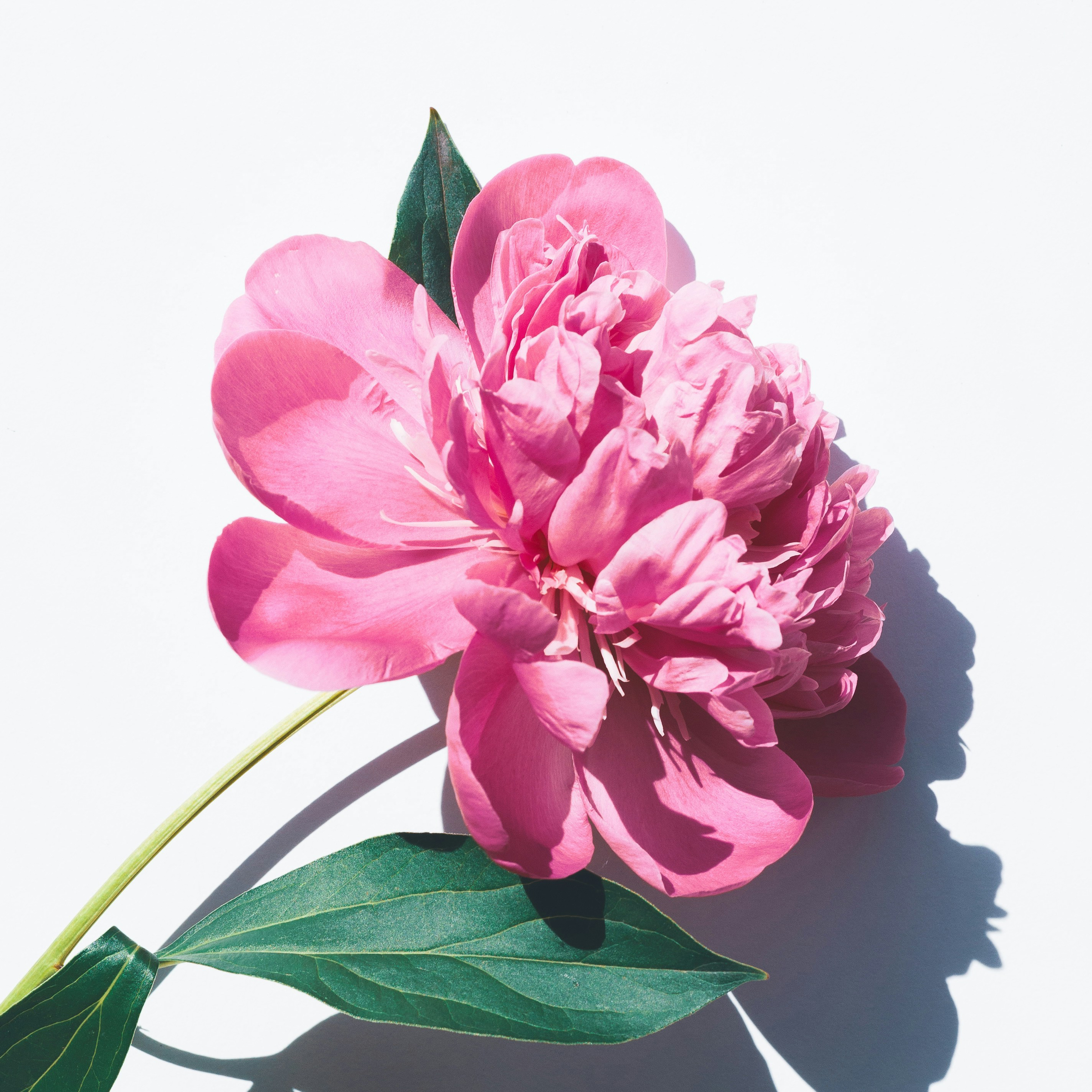 Access Bars 60 minut