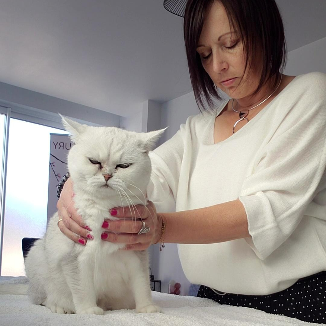 LaHochi & Magnétisme pour Animaux