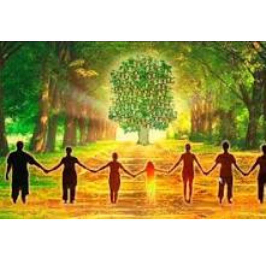 1ere consultation VISIO