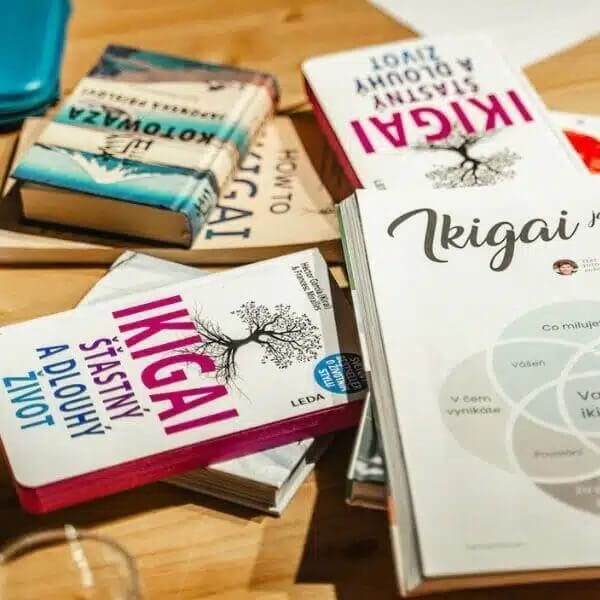 Vstupní rozhovor k výcviku IKIGAI (online)