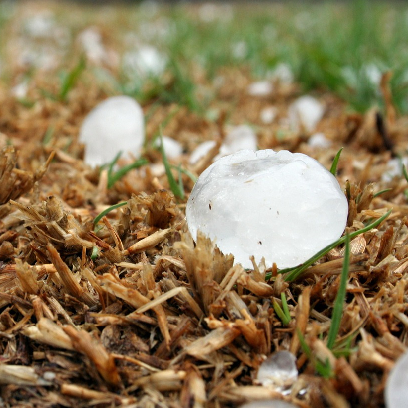Assurance Grêle / Tempête