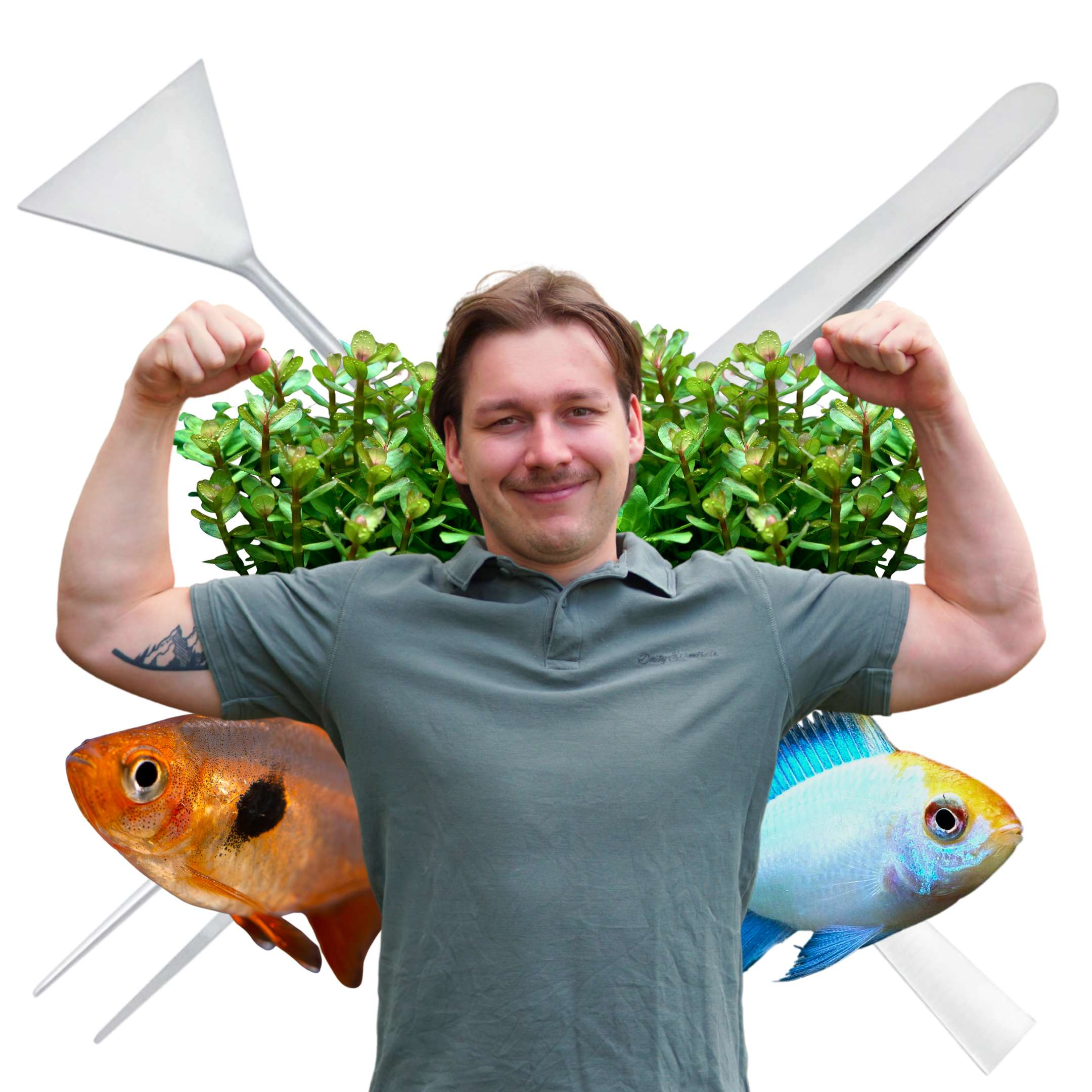 Servis akvária Střední Čechy