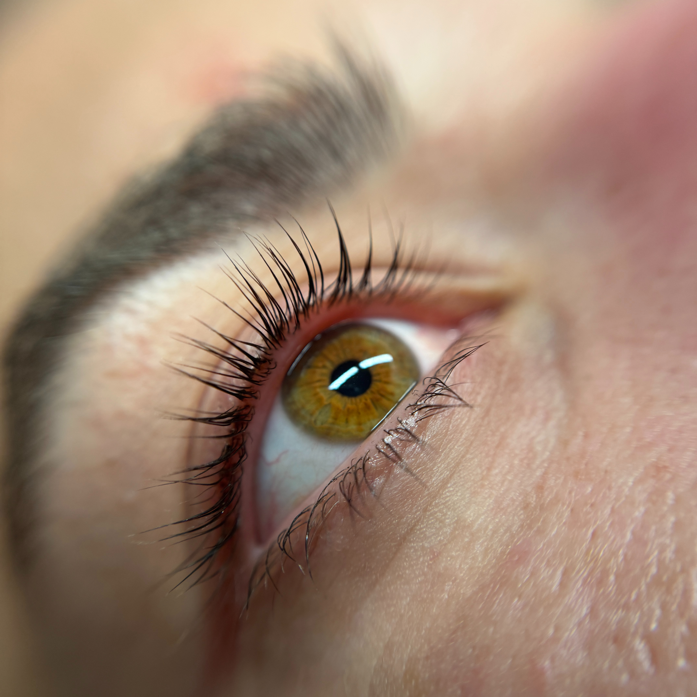 Balíček Korean Laminace obočí a řas