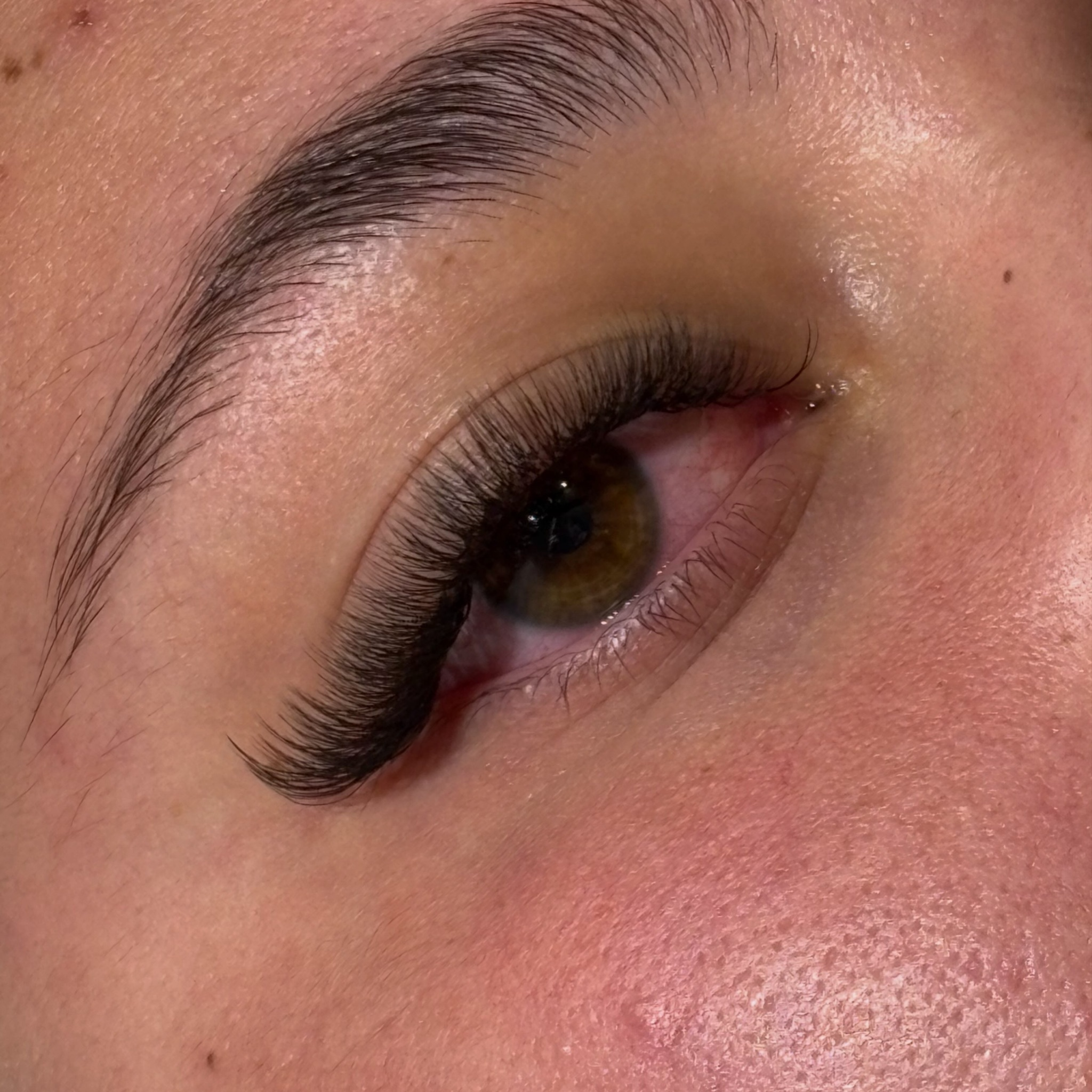 Extensions de Cils 4D U shape