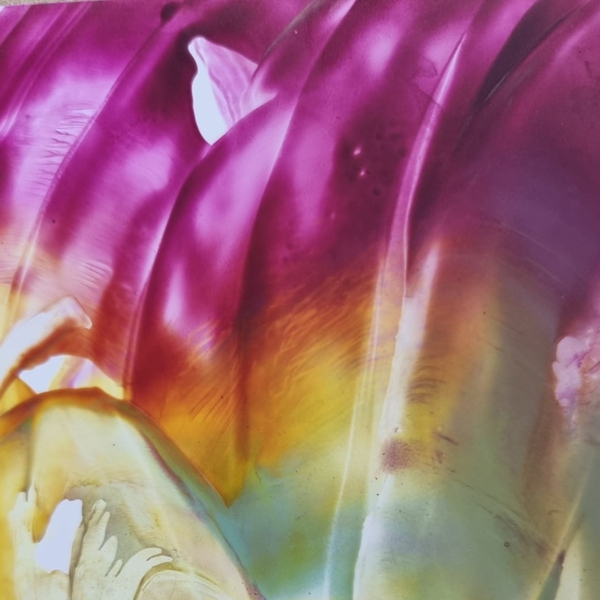 Consultatie met bio-energetische uitmeting