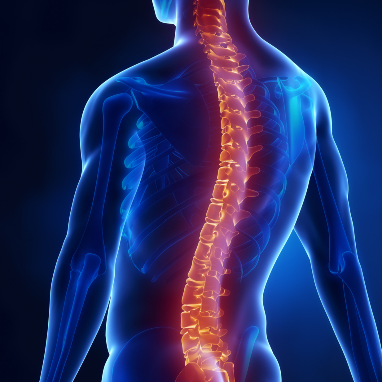 OSTÉOPATHIE Antibes à Monaco / OSTEOPATHY Antibes to Monaco