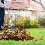 Entretien du jardin /2h