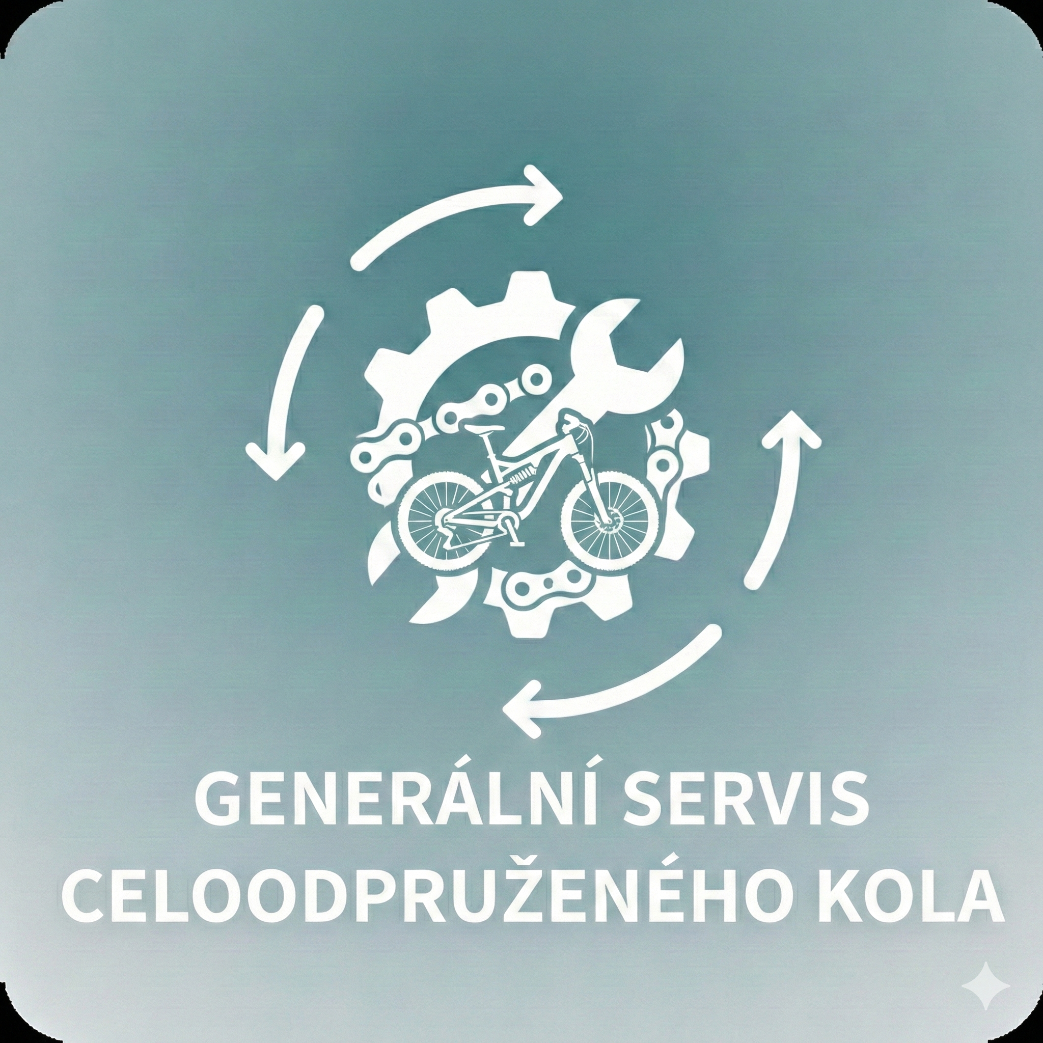 Generální servis celoodpruženého kola