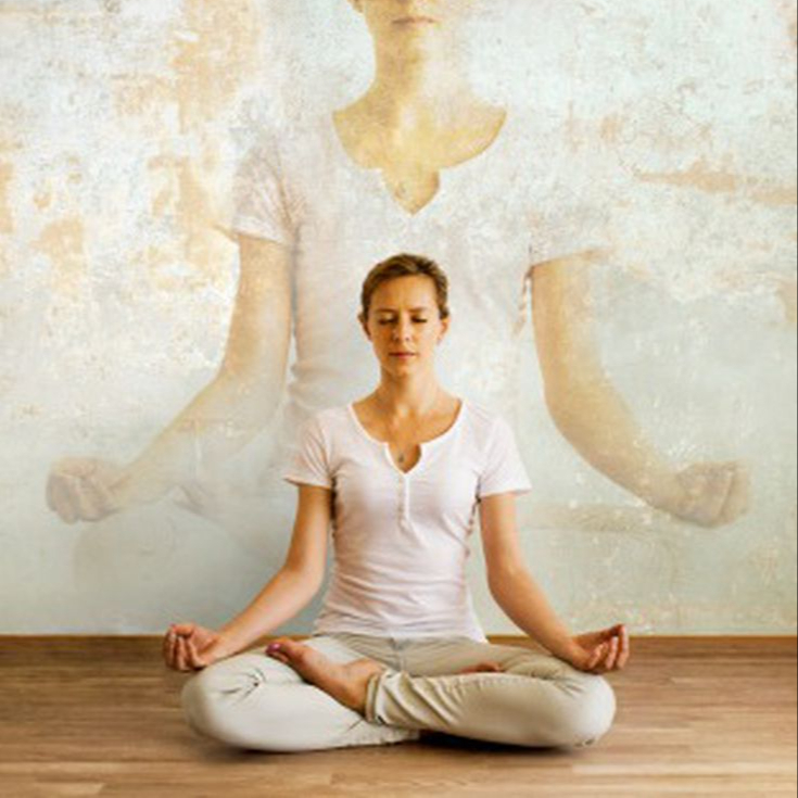 contact Mentorat pleine conscience (initiés)