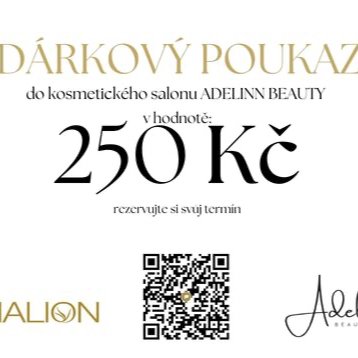 Dárkový poukaz 250 kč