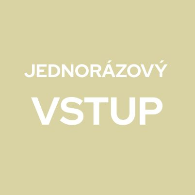 Jednorázový vstup