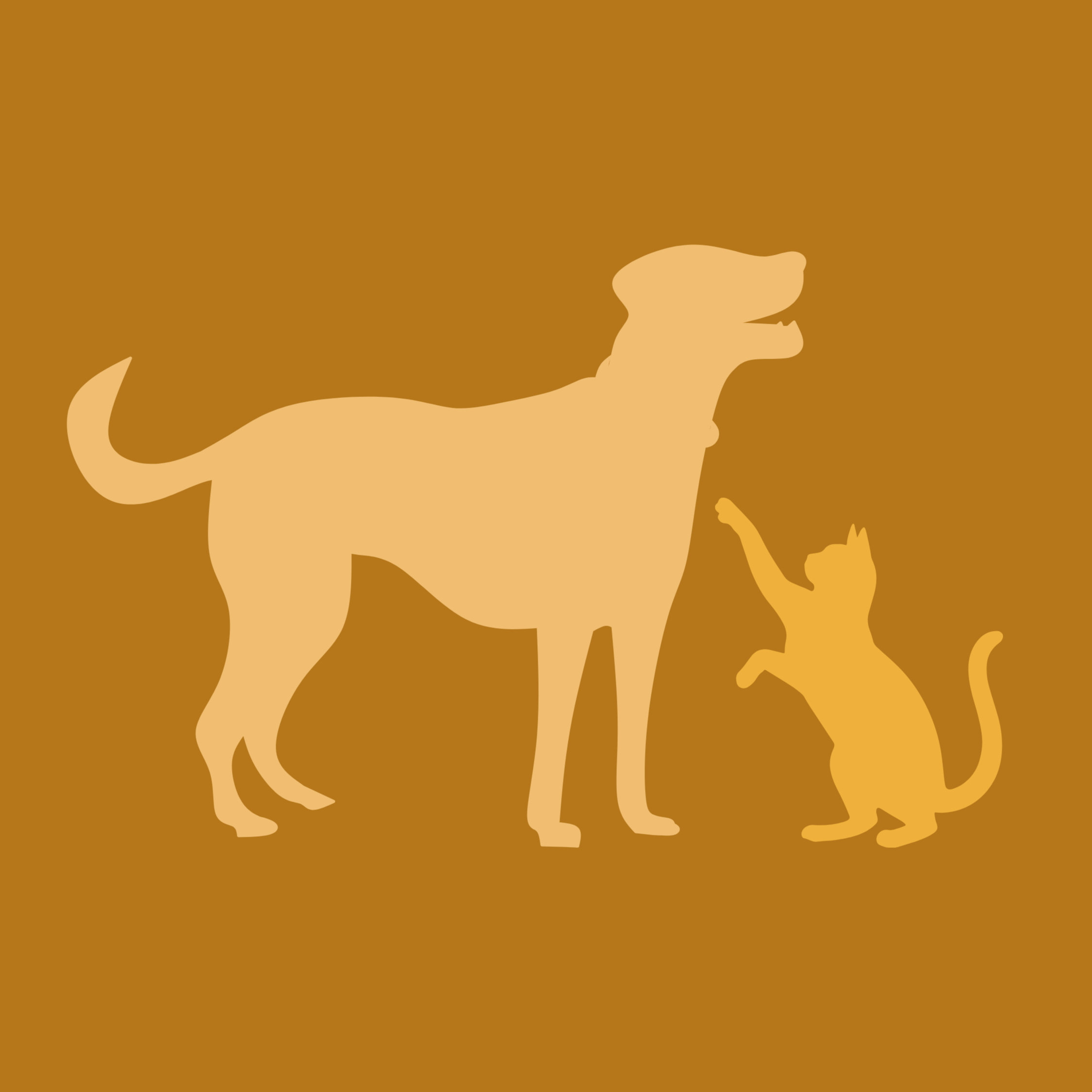 Chien/Chat - Ostéopathie au cabinet