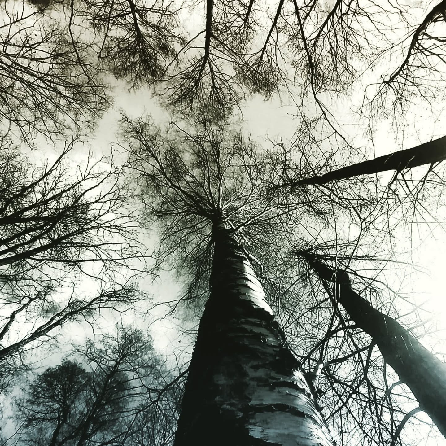 Terapie 90 min /pouze DOSPĚLÍ