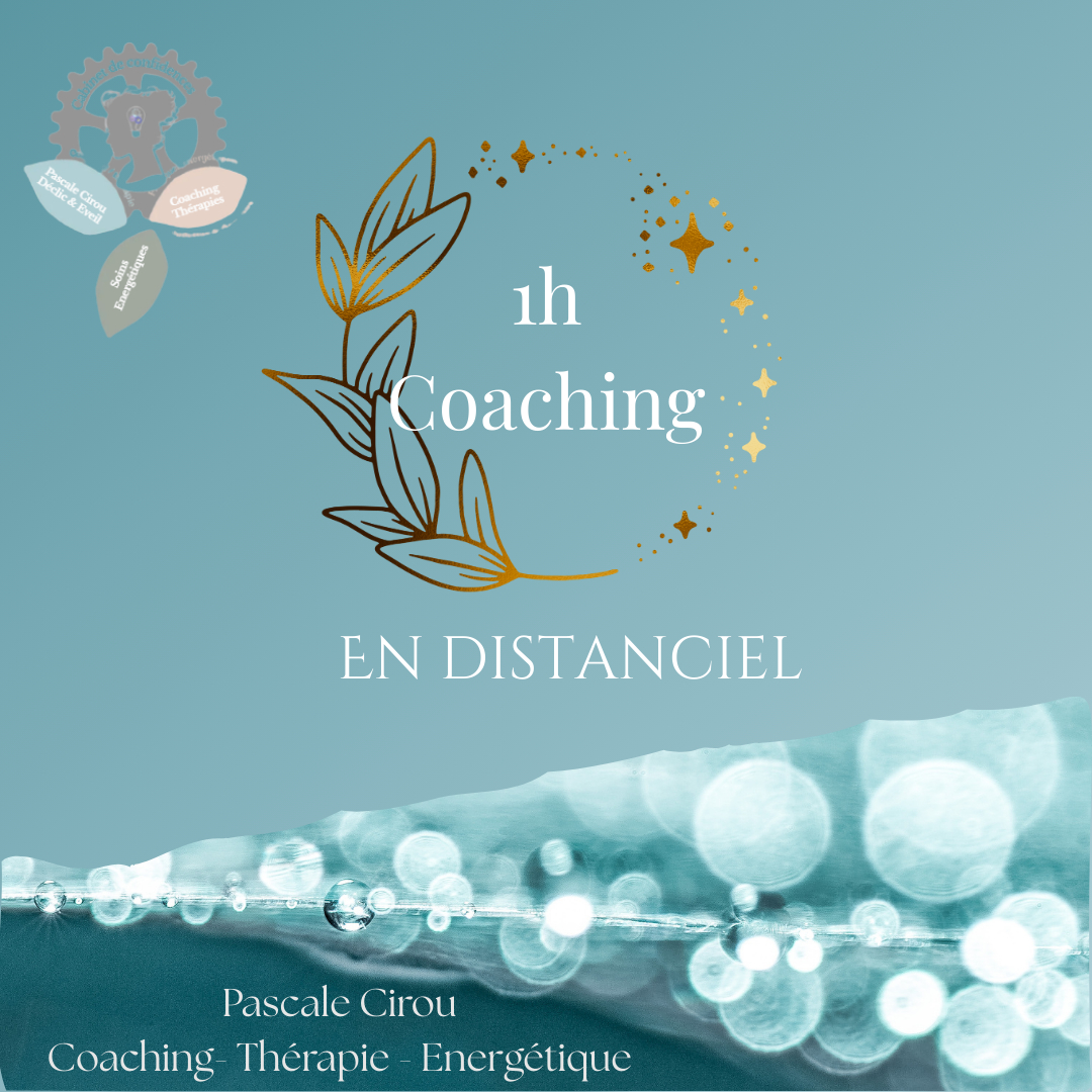 1 h de Coaching individuel en visio ou téléphone