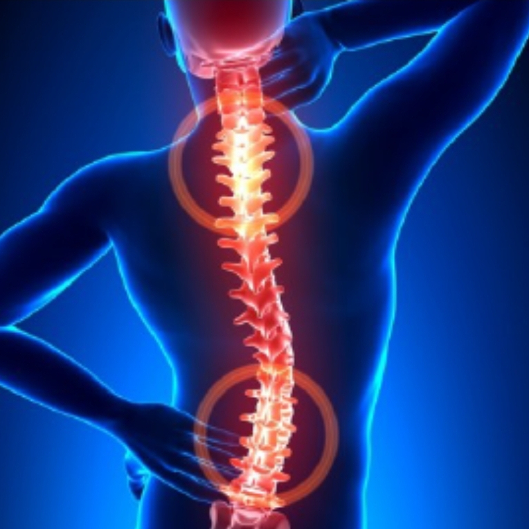 Quiropraxia Vertebral