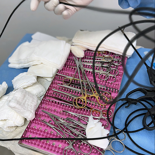 Chirurgie - vstupní vyšetření, předoperační vyšetření, kontrola