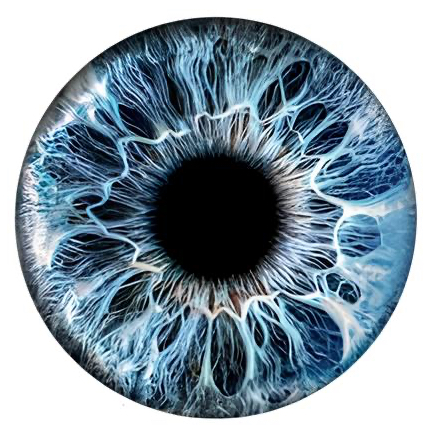 Eye Photography ( Foto Iride )